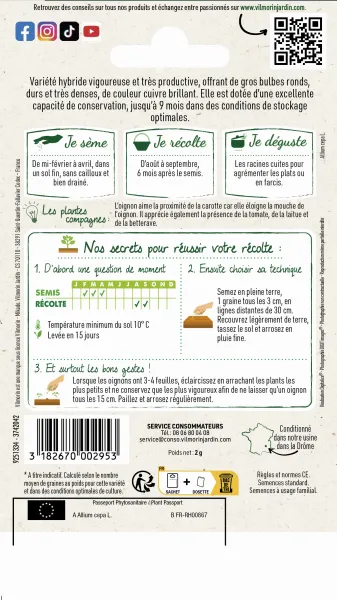 Potagères - Oignon Jaune Jady HF1 - Graines d'Exception - MEDIA_PACKAGING_VERSO