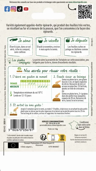 Potagères - Poirée Verte à Couper - Légumes d'Autrefois - MEDIA_PACKAGING_VERSO