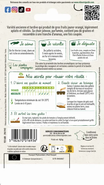 Potagères - Tomate Ananas - Légumes d'Autrefois - MEDIA_PACKAGING_VERSO