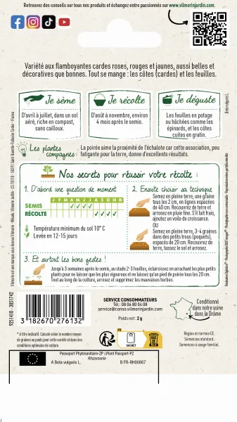 Potagères - Poirée Bright Lights en mélange - MEDIA_PACKAGING_VERSO