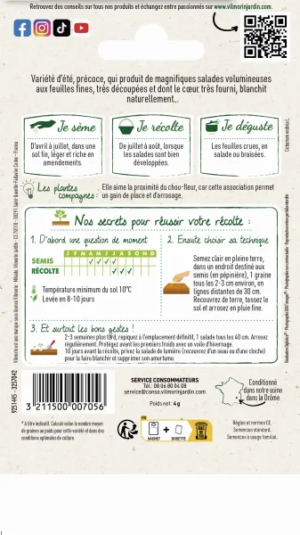 Potagères - Chicorée Frisée Très Fine Maraîchère 3 - MEDIA_PACKAGING_VERSO