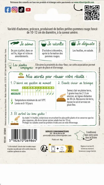 Potagères - Chicorée à Feuilles Palla Rossa 6 - MEDIA_PACKAGING_VERSO