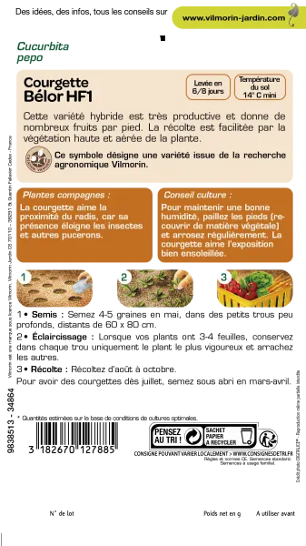 Potagères - Courgette Bélor HF1 - Graines d'Exception - MEDIA_PACKAGING_VERSO