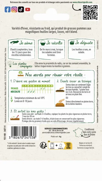 Potagères - Laitue d'Hiver Val d'Orge - MEDIA_PACKAGING_VERSO