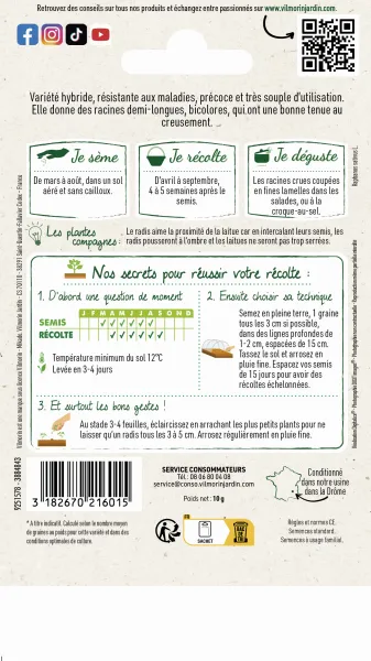 Potagères - Radis Expo HF1 - Graines d'Exception - MEDIA_PACKAGING_VERSO