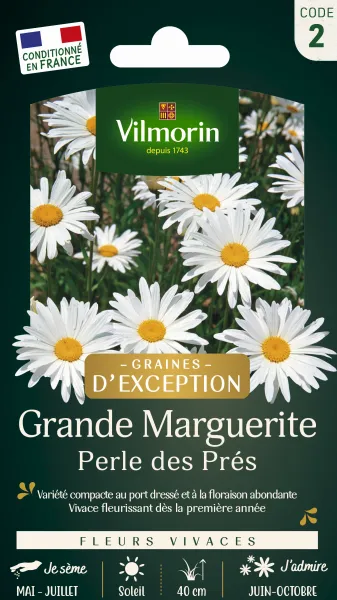 Fleuri - Pelouse Suisse - Paquerettes (x2) + Grande Marguerite Perle des Prés Offerte - MEDIA_EN_SITUATION_1