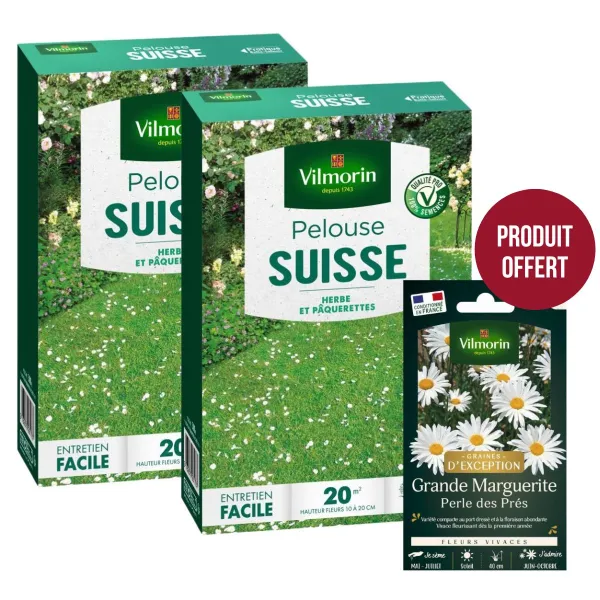 Fleuri - Pelouse Suisse - Paquerettes (x2) + Grande Marguerite Perle des Prés Offerte - face recto