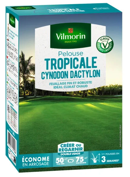 Tropical - Pelouse Tropicale - Cynodon Dactylon - 500 g - face recto