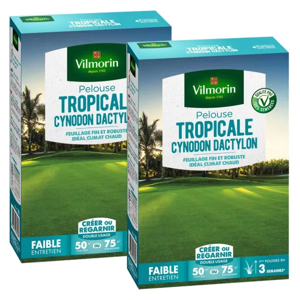 Tropical - Pelouse Tropicale - Cynodon Dactylon - 500 g (x2) - face recto