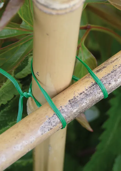 Matériel de jardinage - Fil de Fer Plastifié avec Découpe - 20 m - MEDIA_EN_SITUATION_1