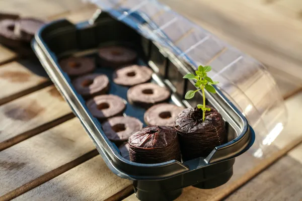 Accessoires pour semer - Kit de Plantation : Mini Serre + 10 Pastilles de Coco - MEDIA_EN_SITUATION_2