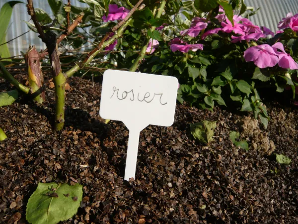 Accessoires pour semer - Étiquette Marquage à Planter (x12) - MEDIA_EN_SITUATION_2