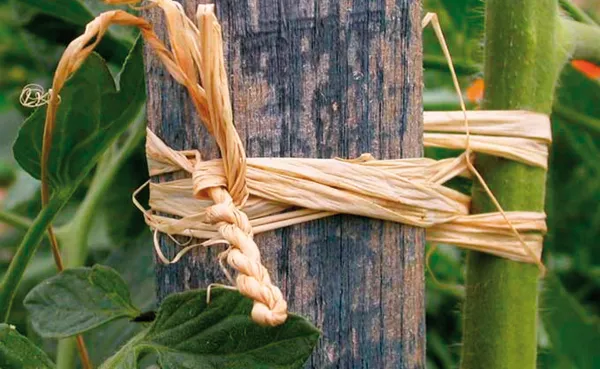 Matériel de jardinage - Pelote Raphia - Naturel - PACKAGING_RECTO