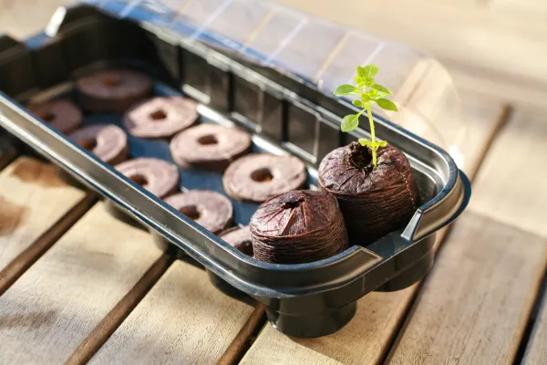 Accessoires pour semer - Kit de Plantation : Mini Serre + 10 Pastilles de Coco - face recto