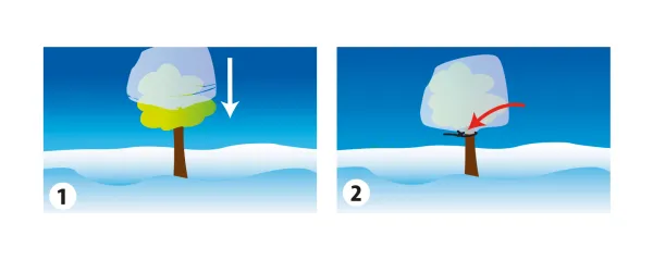 Croissance et protection des végétaux - Housse d'hivernage - 2 m x 2,4 m - Blanc - MEDIA_EN_SITUATION_1
