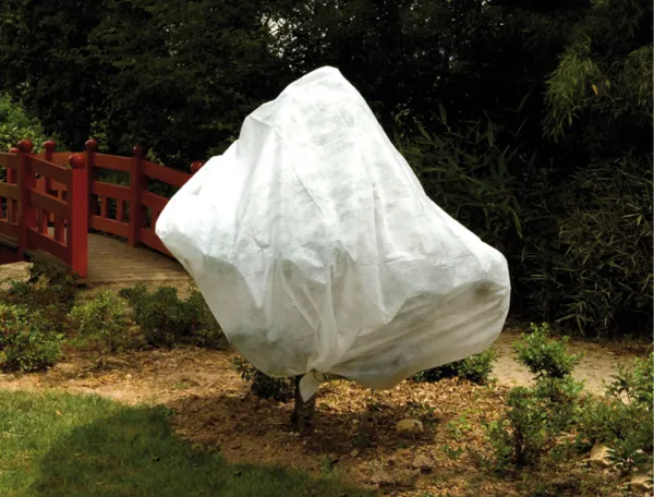 Croissance et protection des végétaux - Voile d'hivernage - 2 m x 5 m - face recto