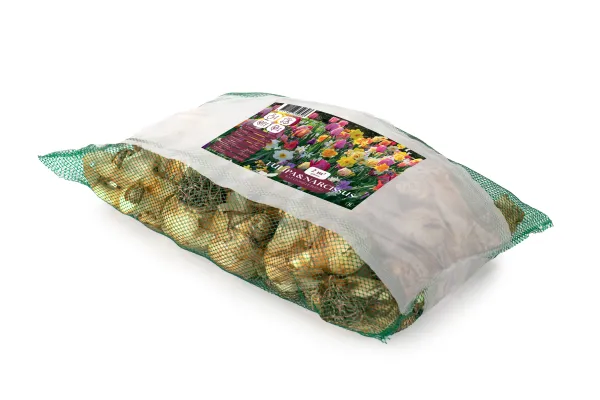 Bulbes à fleurs à planter à l'automne - Tulipes et Narcisses en mélange (x50) - MEDIA_3D