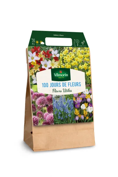 Bulbes à fleurs à planter à l'automne - Bulbes à fleurs en Mélange - 100 jours de bulbes à fleurs (x50) - MEDIA_3D