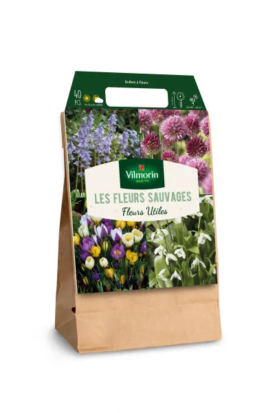 Bulbes à fleurs à planter à l'automne - Bulbes à fleurs en Mélange - Les fleurs sauvages (x40) - MEDIA_3D