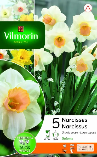 Bulbes à fleurs à planter à l'automne - Narcisse Salome (x5) - PACKAGING_RECTO
