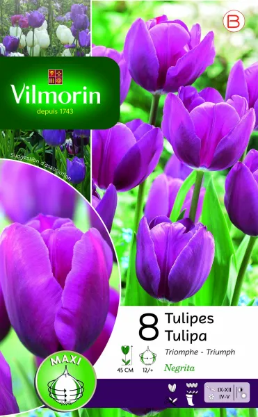 Bulbes à fleurs à planter à l'automne - Tulipe Negrita (x8) - PACKAGING_RECTO