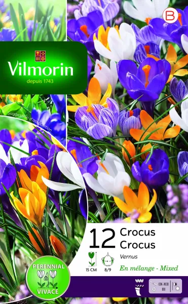 Bulbes à fleurs à planter à l'automne - Crocus Grande Fleur En Mélange (x12) - PACKAGING_RECTO