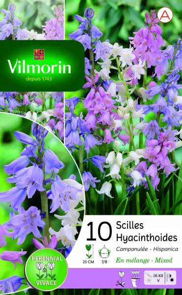 Bulbes à fleurs à planter à l'automne - Scilla Campanule en Mélange (x10) - PACKAGING_RECTO