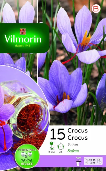 Bulbes à fleurs à planter à l'automne - Crocus Sativus (x15) - PACKAGING_RECTO