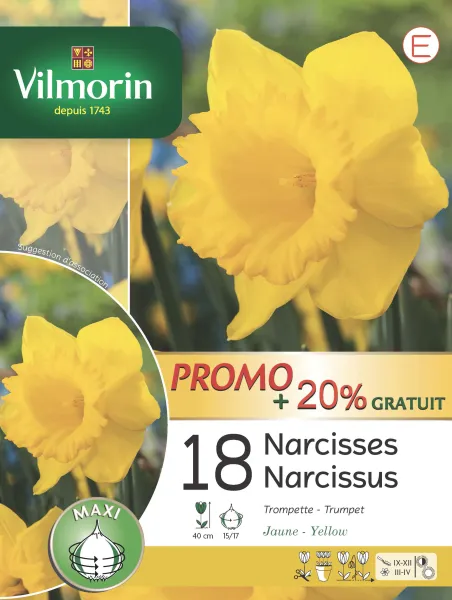 Bulbes à fleurs à planter à l'automne - Narcisse Trompette Jaune (x18) - PACKAGING_RECTO