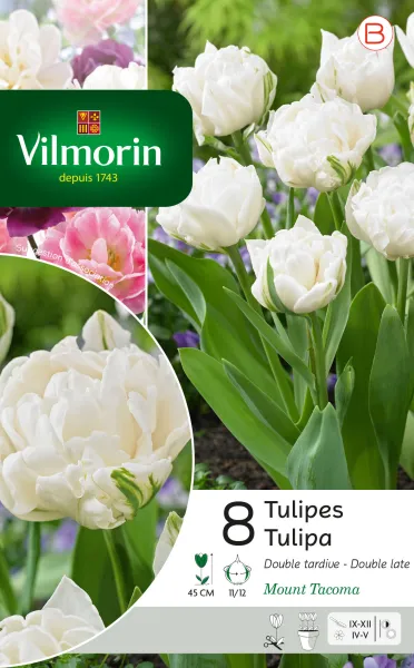 Bulbes à fleurs à planter à l'automne - Tulipe Mount Tacoma (x8) - PACKAGING_RECTO