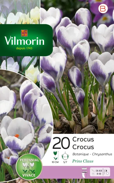 Bulbes à fleurs à planter à l'automne - Crocus Prins Claus (x20) - PACKAGING_RECTO