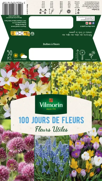 Bulbes à fleurs à planter à l'automne - Bulbes à fleurs en Mélange - 100 jours de bulbes à fleurs (x50) - face recto