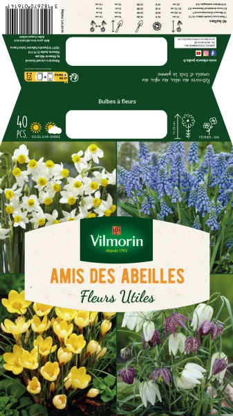 Bulbes à fleurs à planter à l'automne - Bulbes à fleurs en Mélange - Amis des abeilles (x40) - face recto