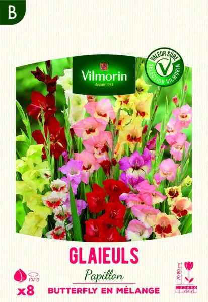 Bulbes à fleurs à planter au printemps - Glaïeuls Grande Fleur Butterfly en Mélange (x8) - face recto