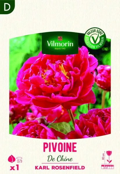 Bulbes à fleurs à planter au printemps - Pivoine De Chine Karl Rosenfeld (x1) - PACKAGING_RECTO