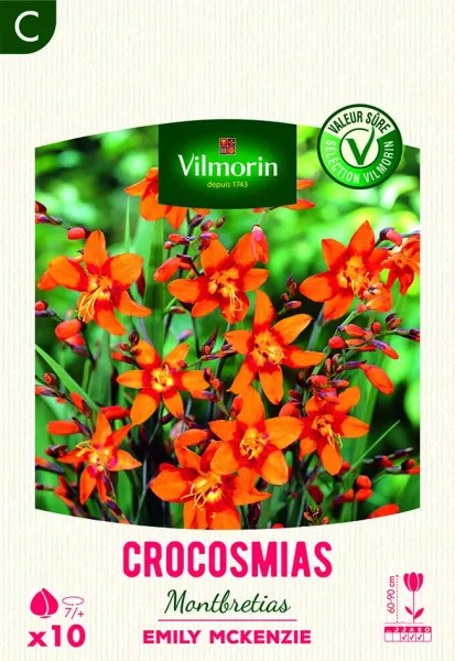 Bulbes à fleurs à planter au printemps - Montbrétia Crocosmia Emily McKenzie (x10) - PACKAGING_RECTO