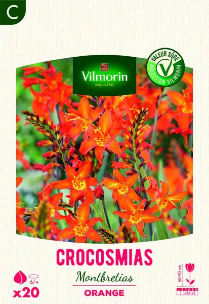 Bulbes à fleurs à planter au printemps - Montbrétia Crocosmia Orange (x20) - face recto