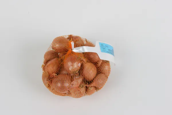 Bulbes potagers - Oignon Jaune Paille des Vertus - 500 g - face recto