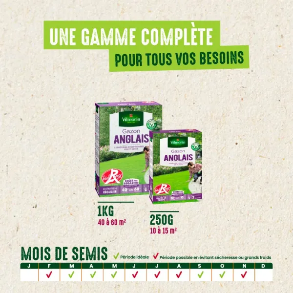 Anglais - Gazon Anglais Label Rouge - 250 g - image