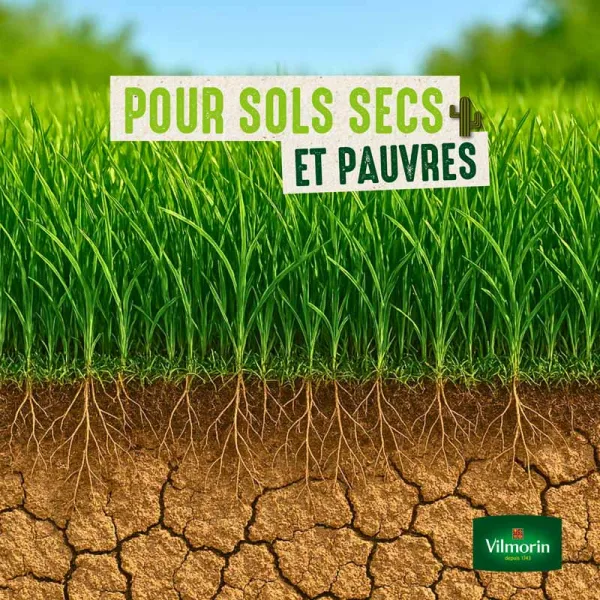 Terrain Sec - Gazon Terrain Sec - 1 kg - image