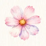 Cosmos