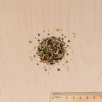 Mélanges de fleurs - Gazon Japonais - 4 m² - Mélange de fleurs - MEDIA_3D