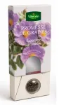 Arbres - Ciste Cotonneux - Courage - face recto