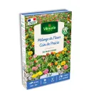 Mélanges de fleurs - Coin de Prairie - 7 m² - Mélange de fleurs - face recto