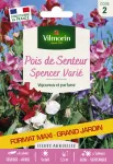 Fleurs - Pois de Senteur Spencer Varié - Grand Modèle - face recto