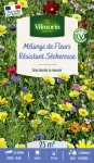 Mélanges de fleurs - Fleurs Résistantes Sécheresse - 25 m² - Mélange de fleurs - PACKAGING_RECTO