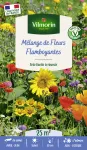 Mélanges de fleurs - Fleurs Flamboyantes - 25 m² - Mélange de fleurs - PACKAGING_RECTO