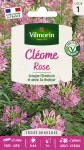 Fleurs - Cléome Rose - PACKAGING_RECTO