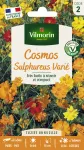 Fleurs - Cosmos Sulphureus Varié - PACKAGING_RECTO