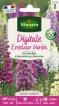 Fleurs - Digitale Excelsior Variée - PACKAGING_RECTO